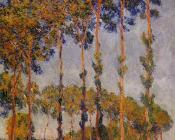 克劳德 莫奈 : A Row of Poplars